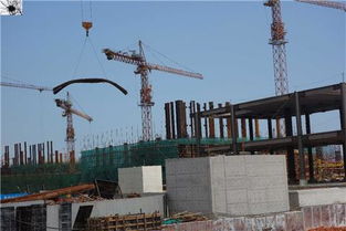 前海掃描映像 桂廟路主隧道開挖與月亮灣立交橋動(dòng)工勘探同步推進(jìn)